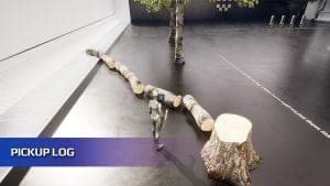 Choppable Trees visual for Games by Hyper Unreal Engine systems