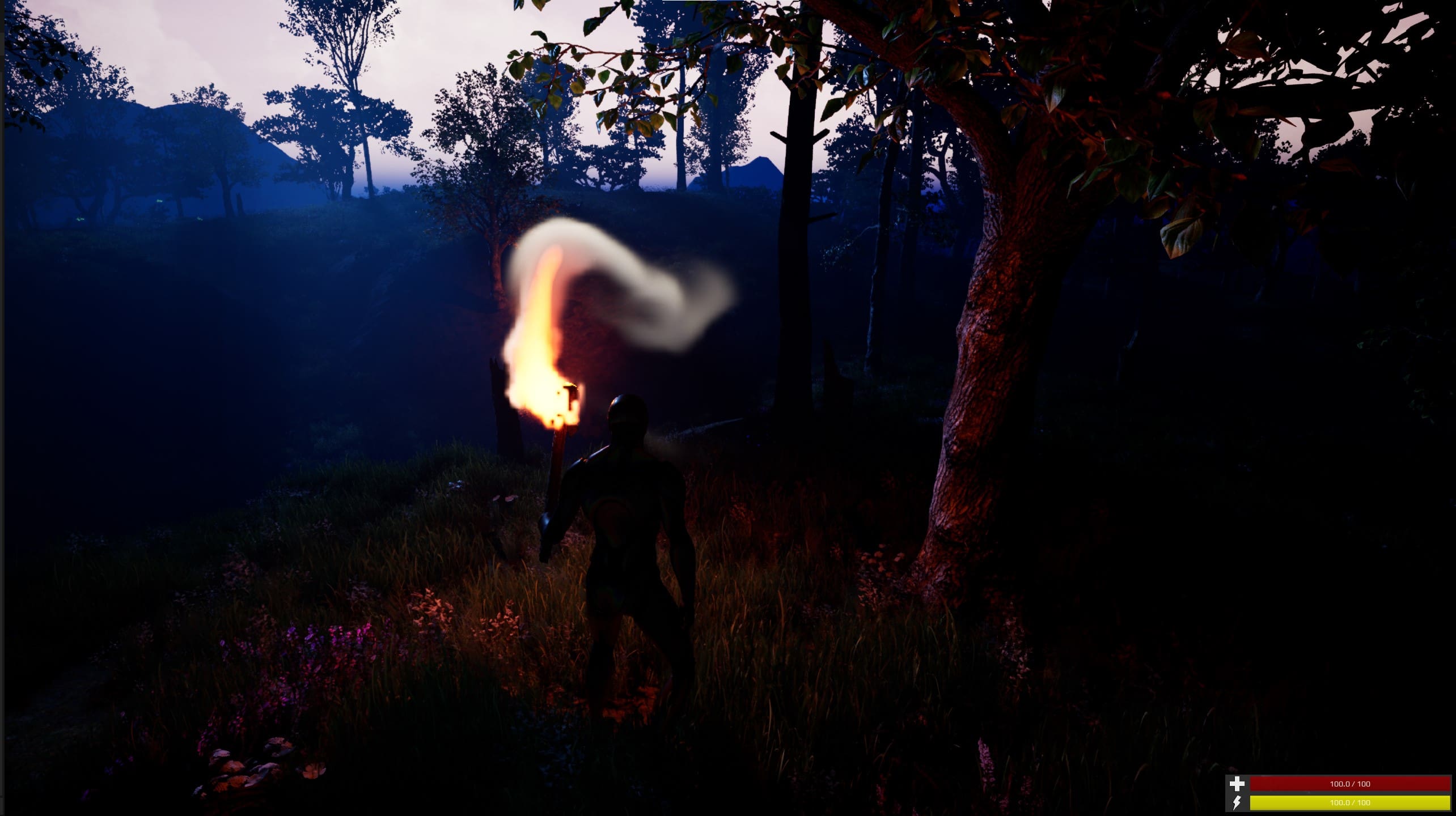 Torch screenshot