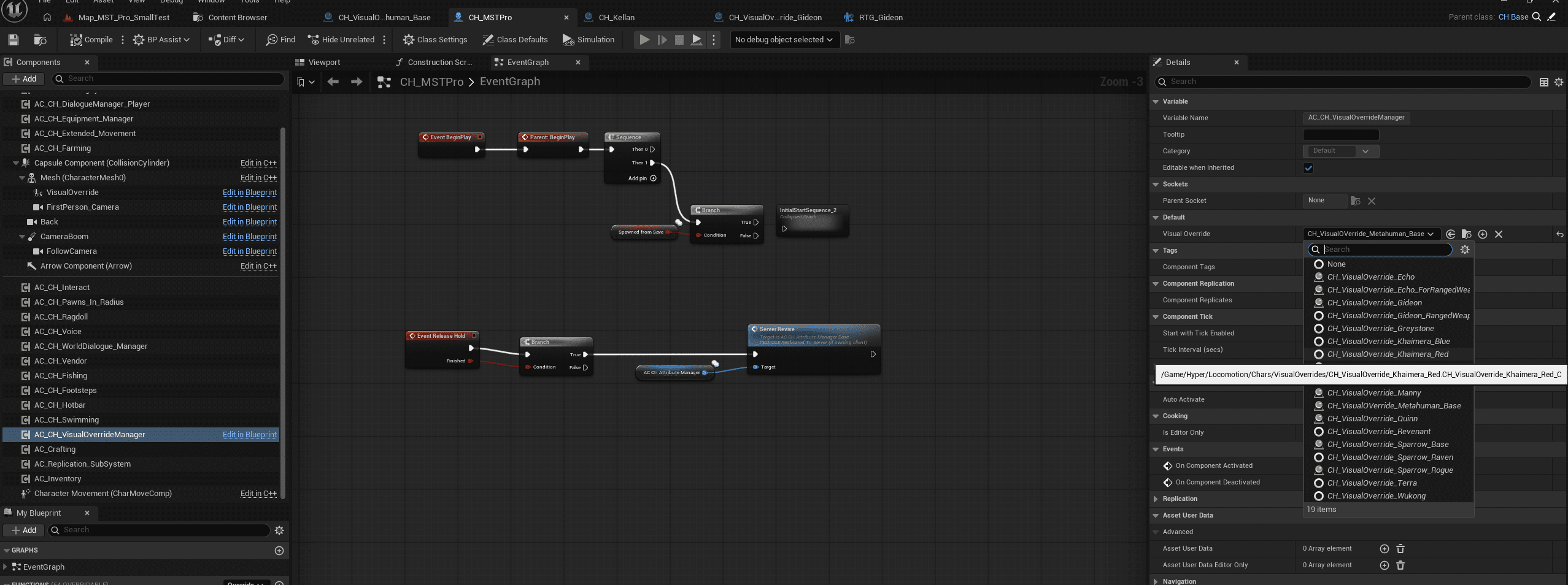 Assign the visual override on the character