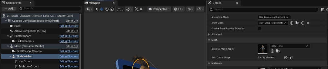Changing Your Skeletal Mesh screenshot